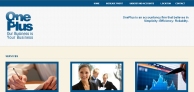 Website design for a Dublin Accountancy Firm.